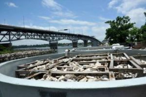 切薩皮克[美國一城市]