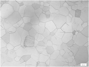 低倍夾雜 低倍夾雜