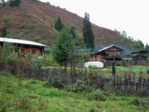 白岩自然村 白岩自然村