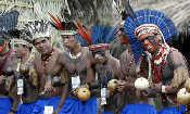 巴西帕塔肖族民族舞蹈