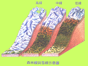 高地氣候 高地氣候