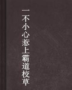 不小心惹上霸道校草 不小心惹上霸道校草