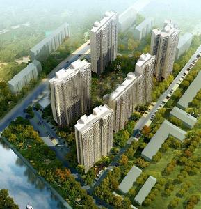 金舍德圓 金舍德圓