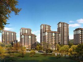 連海金源 連海金源