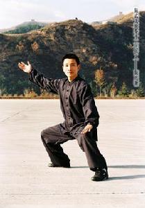 陳氏太極拳新架二路 陳氏太極拳新架二路