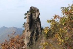 貓耳石頂 貓耳石頂