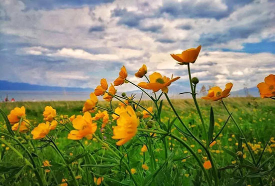 風景絢爛時刻走遍這6個地方,今年8月無遺憾!