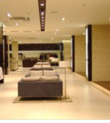 大連大楊創世股份有限公司 大連大楊創世股份有限公司