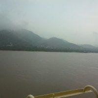 游蓋竹山 游蓋竹山