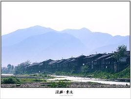 江南千條腿 江南千條腿