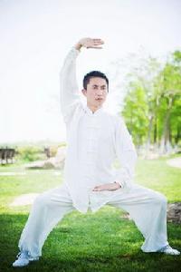 蛇形太極拳 蛇形太極拳