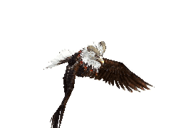 《天龍八部Online》