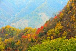 問道九霄 問道九霄