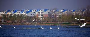 淮陽龍湖國家濕地公園 淮陽龍湖國家濕地公園