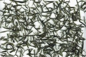 峽州碧峰 峽州碧峰