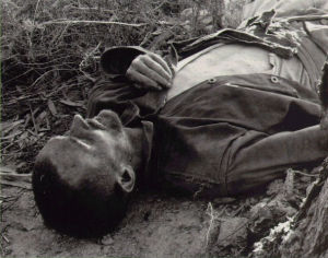 愛德華&middot;福克斯