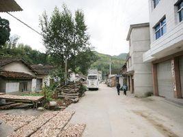 合湖村[浙江省慶元縣百山祖鎮下轄村]