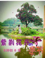 紫荊花開的季節 紫荊花開的季節