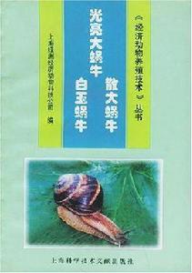 光亮大蝸牛·散大蝸牛·白玉蝸牛