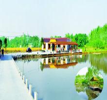 八橋鎮生態農業