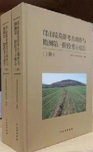 邙山陵墓群考古調查與勘測第一階段考古報告(全2冊) 邙山陵墓群考古調查與勘測第一階段考古報告(全2冊)