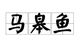馬皋魚 馬皋魚