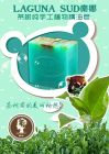 茶樹純手工植物精油皂