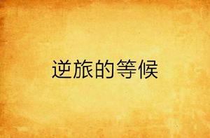 逆旅的等候 逆旅的等候