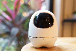 阿爾法小蛋 阿爾法小蛋