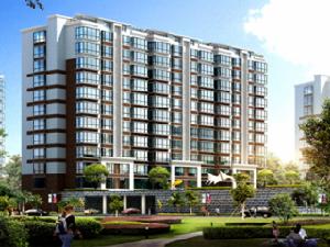 高新明珠 高新明珠