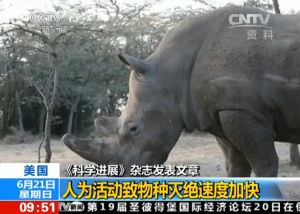 第六次物種大滅絕