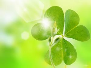 生機[中信出版社出版圖書]