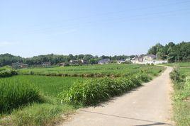 菁華鋪鄉 菁華鋪鄉