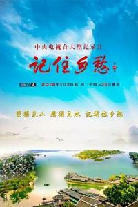 記住鄉愁第四季 記住鄉愁第四季