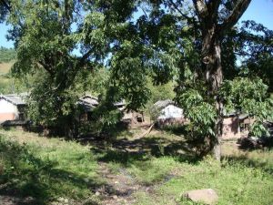 麻龍密村 麻龍密村