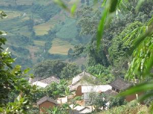 回興自然村 回興自然村