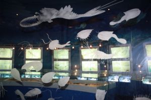 澄江古生物化石群 澄江古生物化石群