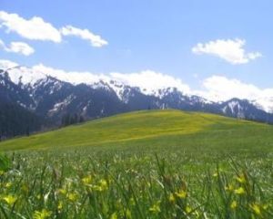 那拉提草原 那拉提草原