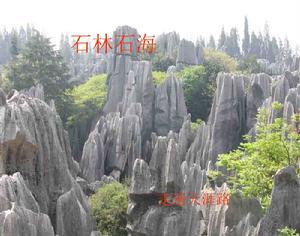 石林