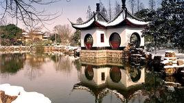 常州甜白酒 常州甜白酒