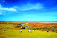 莫爾道嘎的艷麗秋色