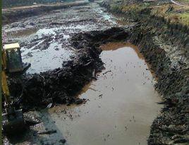 沼澤淤泥 沼澤淤泥