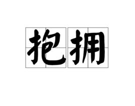 抱擁[詞語]