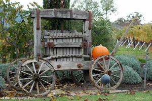 十一月在馬車上 十一月在馬車上