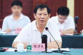 張力夫[海南省人大常委會原副主任]