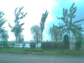 葛家屯社區 葛家屯社區