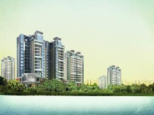 瑞佳萬樹陽光 瑞佳萬樹陽光