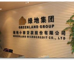 上海奉賢綠地小額貸款股份有限公司 上海奉賢綠地小額貸款股份有限公司