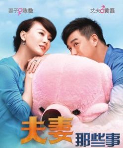 《夫妻那些事》 《夫妻那些事》