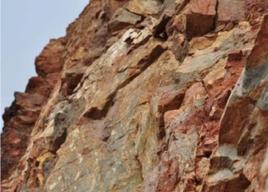 旋卷構造 旋卷構造